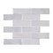 Andova Tiles SAMPLE-Daazen Borealis 2 in. x 6 in. Glass Mosaic Wall Tile SAM-ANDDAA975 - alternate 8